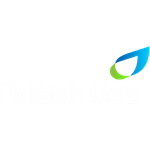 logo_resized_1_corrected